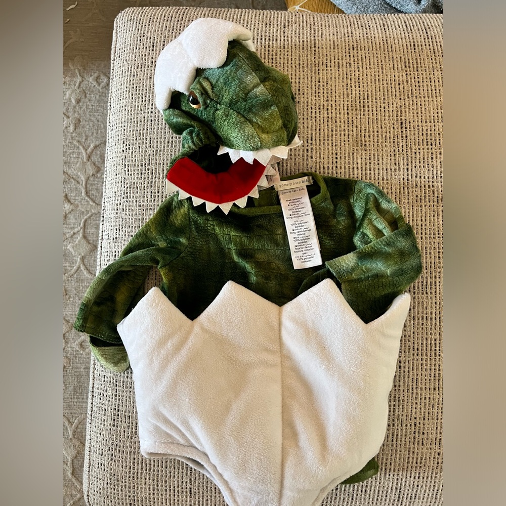 Pottery Barn Kids Green and White Dinosaur Costume